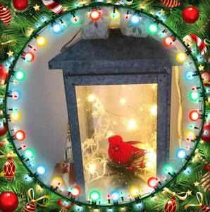 Meet your Posher, Pam